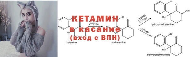 кокаин Белокуриха